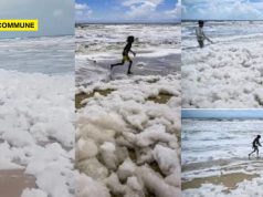 Toxic Foam Covers 1.5 KM Of Chennai Coastline Following Heavy Rains Toxic Foam Covers 1.5 km Of Chennai Coastline Following Heavy Rains