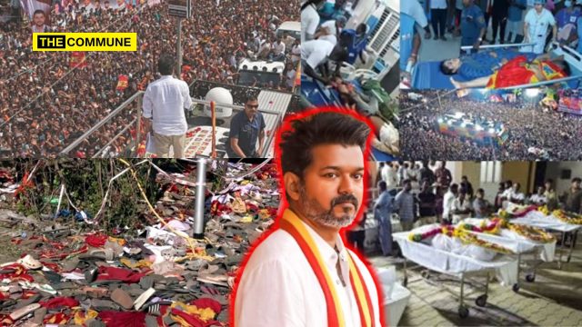 "Vijay Fled From Scene Of Occurrence, Party Has No Remorse", Madurai Bench Of Madras High Court Slams TVK For dmk Karur Stampede karur stampede dmk