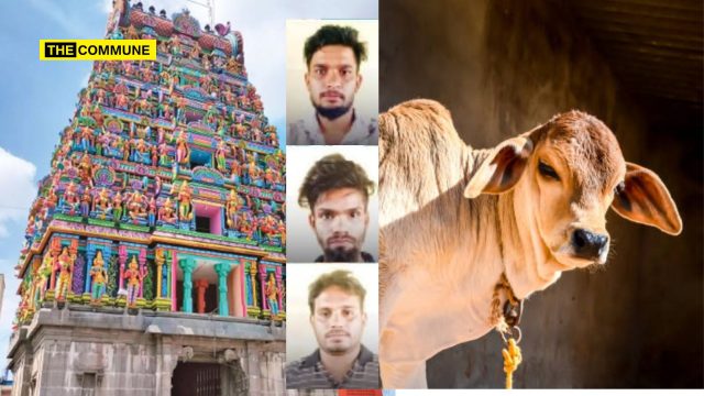 Moideen, Alauddin & Saleem Arrested For Stealing Kottai Mariamman Temple Cow, Selling It To Meat Shop In Salem