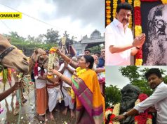 DMK Leader MK Stalin’s Wife Durga Stalin Offers Puja To Camels Ahead Of 2026 TN Assembly Elections
