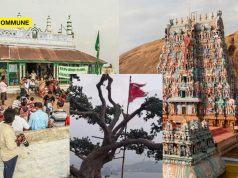 Dargah Flags Tied On Thirupparankundram Sthalavruksham, Sanctity Violated? Dargah Flags Tied On Thirupparankundram Sthalavruksham, Sanctity Violated