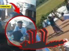 Drunk Man Kills Cat At TASMAC Bar In Theni; Assaults Two Workers