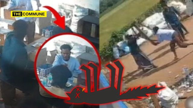 Drunk Man Kills Cat At TASMAC Bar In Theni; Assaults Two Workers