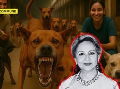 ‘Completely Removed From Reality’: Supreme Court Slams Sharmila Tagore Over Stray Dogs In Hospitals ‘Completely Removed From Reality’: Supreme Court Slams Sharmila Tagore Over Stray Dogs In Hospitals