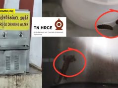 Lizards, Insects Found In Drinking Water Unit At HR&CE-Administered Thiruverkadu Karumariamman Temple Lizards, Insects Found In Drinking Water Unit At HR&CE-Administered Thiruverkadu Karumariamman Temple