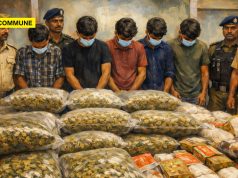 ₹23 Crore Drug Bust: Six Kerala Youths Held At Chennai Airport With 23 Kg Hydroponic Ganja From Thailand ₹23 Crore Drug Bust: Six Kerala Youths Held At Chennai Airport With 23 Kg Hydroponic Ganja From Thailand