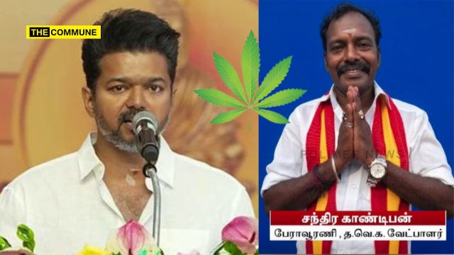 Joseph Vijay, Who Promises A Drug-Free Tamil Nadu, Fields Ganja Case Accused As Candidate Joseph Vijay, Who Promises A Drug-Free Tamil Nadu, Fields Ganja Case Accused As Candidate