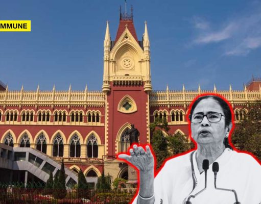 Only 8 km Handed Over Vs 127 km Ordered: Calcutta High Court Slams Mamata Banerjee Govt Over Border Fencing Delay Only 8 km Handed Over Vs 127 km Ordered: Calcutta High Court Slams Mamata Banerjee Govt Over Border Fencing Delay