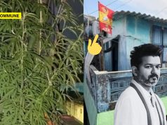 TVK Supporter Allegedly Grew Ganja Plant In Balcony, Defended It As ‘Medicinal’ After Getting Caught TVK Supporter Allegedly Grew Ganja Plant In Balcony, Defended It As ‘Medicinal’ After Getting Caught