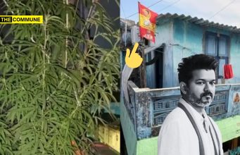 TVK Supporter Allegedly Grew Ganja Plant In Balcony, Defended It As ‘Medicinal’ After Getting Caught TVK Supporter Allegedly Grew Ganja Plant In Balcony, Defended It As ‘Medicinal’ After Getting Caught
