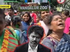 Vandalur Zoo Turned Into Joseph Vijay Birthday Venue? Visitors Turned Away, Chaos Follows; Minister Intervenes After Public Outcry Vandalur Zoo Turned Into Joseph Vijay Birthday Venue? Visitors Turned Away, Chaos Follows; Minister Intervenes After Public Outcry