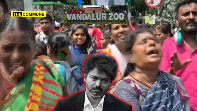 Vandalur Zoo Turned Into Joseph Vijay Birthday Venue Visitors Turned Away, Chaos Follows; Minister Intervenes After Public Outcry Vandalur Zoo Turned Into Joseph Vijay Birthday Venue? Visitors Turned Away, Chaos Follows; Minister Intervenes After Public Outcry