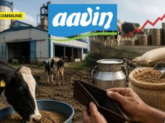 Aavin’s ₹120 Crore Feed Infrastructure Runs At Just 28% Capacity Leaving Dairy Farmers To Pay More For Private Feed Aavin’s ₹120 Crore Feed Infrastructure Runs At Just 28% Capacity Leaving Dairy Farmers To Pay More For Private Feed