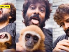 Actor Vikram Posts Video With Exotic Pet Lar Gibbon, Forest Dept Launches Investigates Animal’s Possession Actor Vikram Posts Video With Exotic Pet Lar Gibbon, Forest Dept Launches Investigates Animal’s Possession