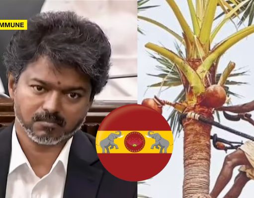 TVK Eyes Nadar Votes In South Tamil Nadu, Mulls Lifting Toddy Ban: Junior Vikatan TVK Eyes Nadar Votes In South Tamil Nadu, Mulls Lifting Toddy Ban: Junior Vikatan