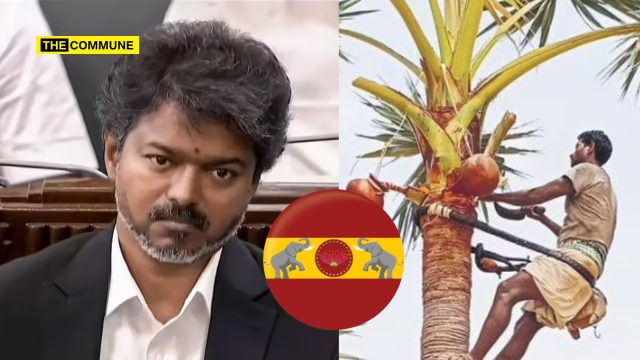 TVK Eyes Nadar Votes In South Tamil Nadu, Mulls Lifting Toddy Ban: Junior Vikatan